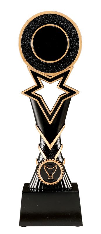 All Sports Trophy 295mm