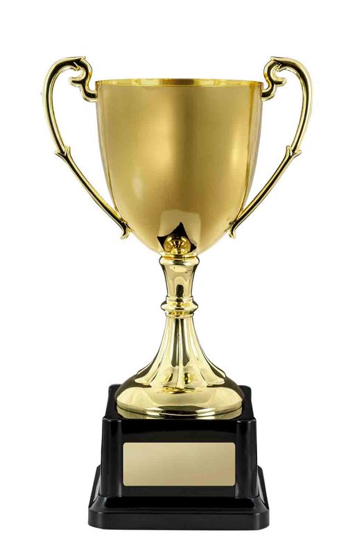 Gold Cast Cup Metal Cups Award 150mm