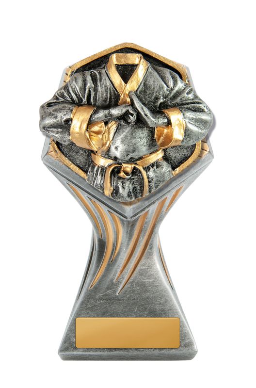 Martial Arts Trophy 225mm