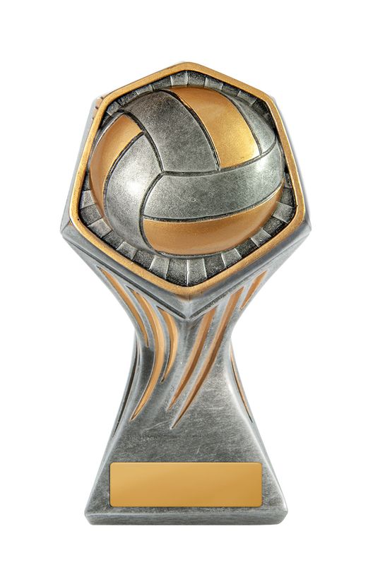 Volleyball Trophy 225mm