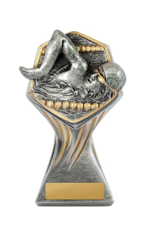 Swimming Male Trophy 225mm