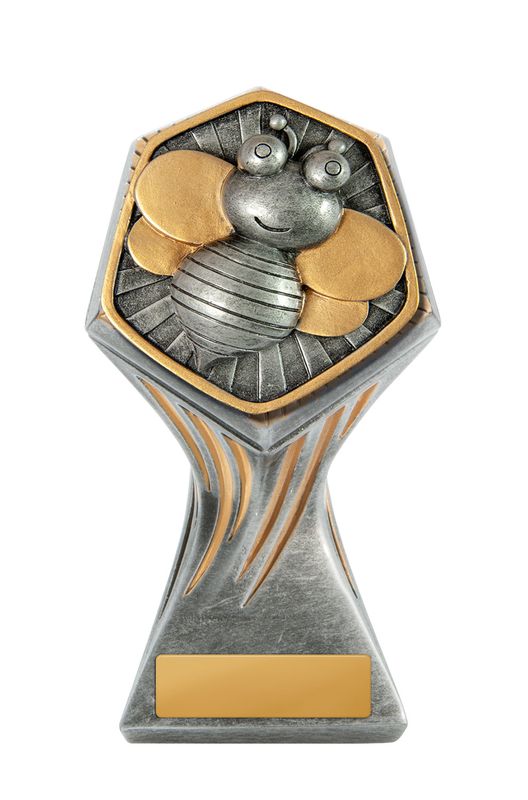 Knowledge Schools Trophy 225mm