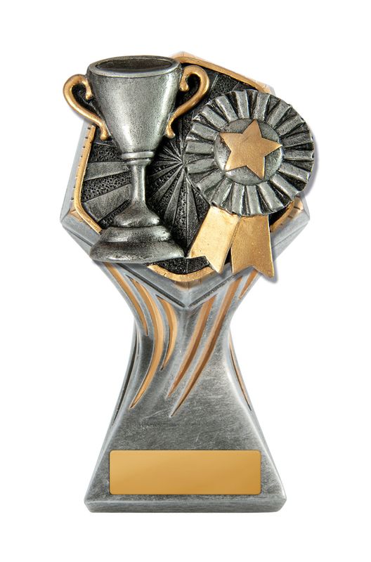 Achievement Schools Trophy 225mm