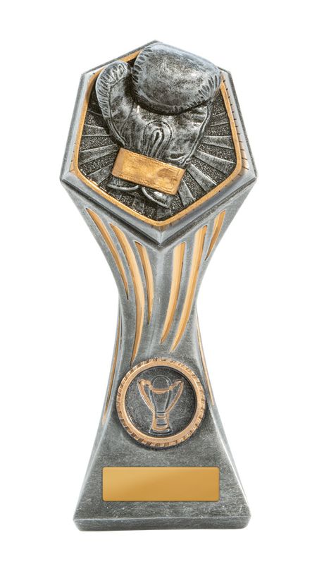 Boxing Trophy 225mm