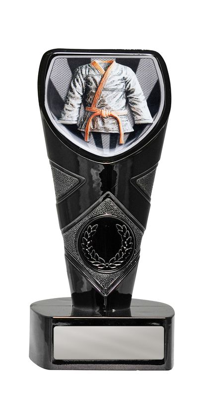 Martial Arts Trophy 225mm