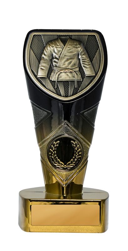 Martial Arts Trophy 225mm