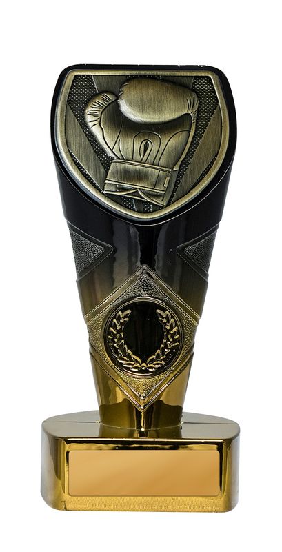 Boxing Trophy 225mm