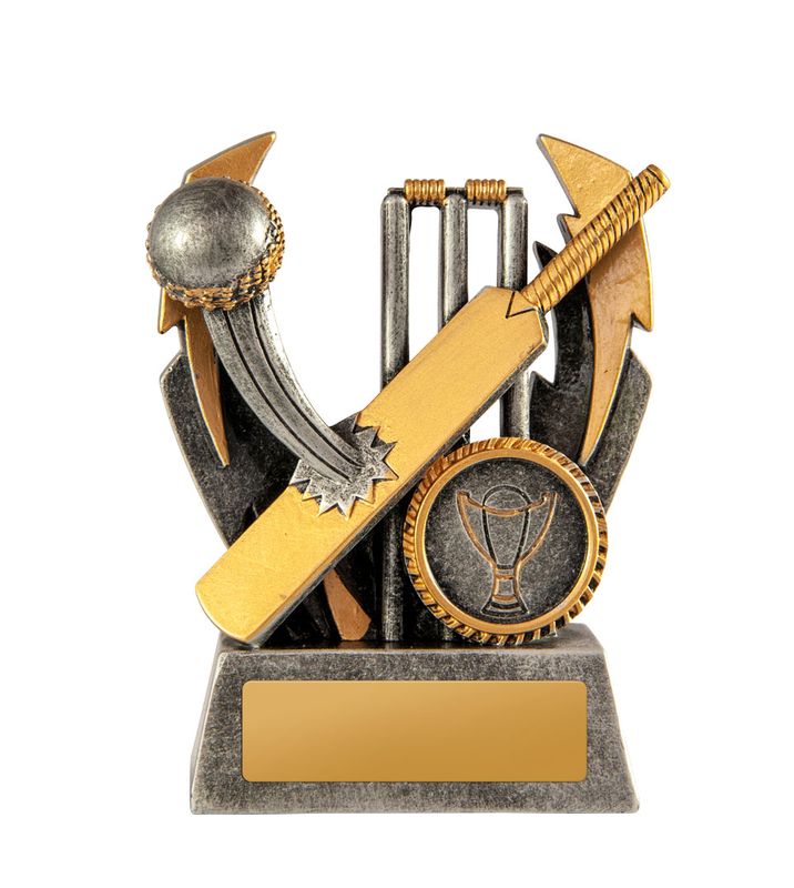 Cricket Trophy 100mm
