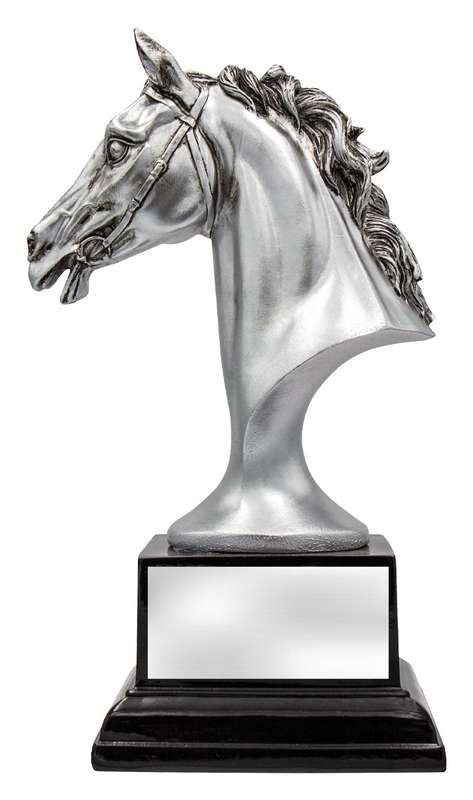 Silver Horse