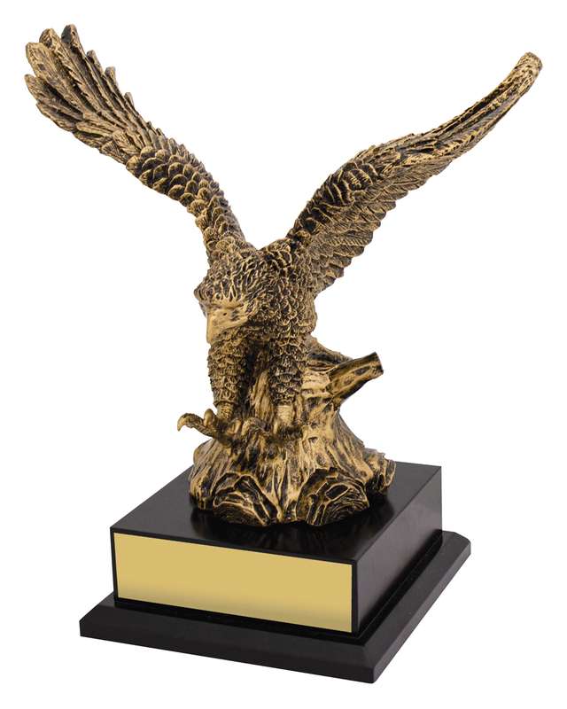 Soaring Success
